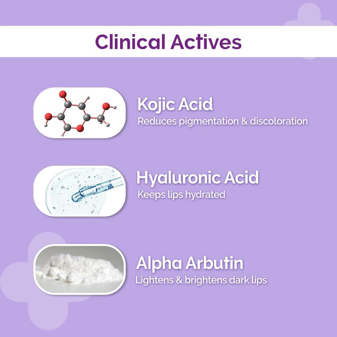 The Derma CO 1% Kojic Acid Lip Balm With Alpha Arbutin & Hyaluronic Acid 4g 