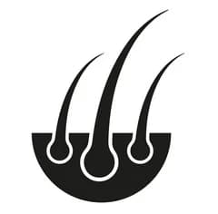 Promotes Hair Growth